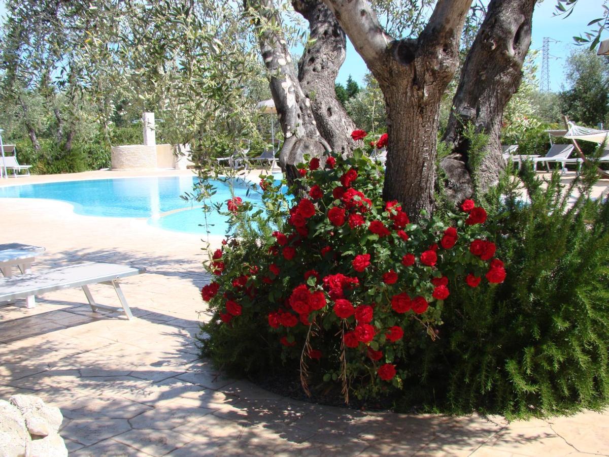 Agriturismo I Tesori Del Sud Vieste, Puglia Exterior foto